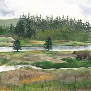 Bears walking near a riverbank