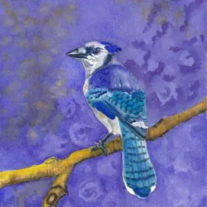 Blue jay on a branch painting