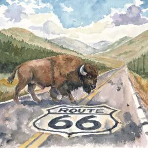 Bison crossing Route 66 road