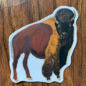 Bison sticker on wooden surface