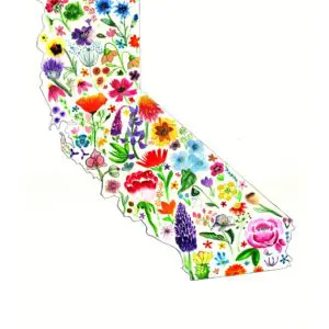 California map with colorful floral pattern