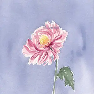 Delicate flower artwork with green leaf