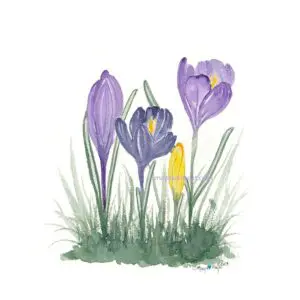 Spring flowers in watercolor painting