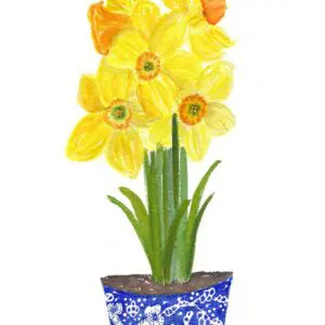 Yellow daffodils in blue patterned pot