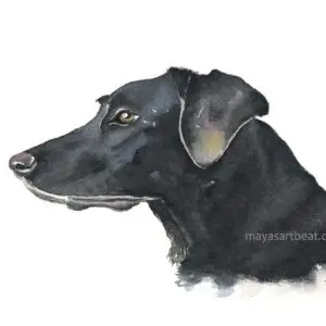 Black dog watercolor portrait