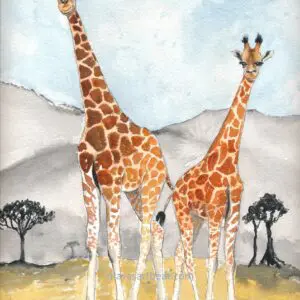 Giraffes standing on grassy plain