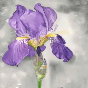 Elegant purple flower with green stem