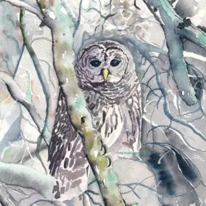 Barred owl blending with background