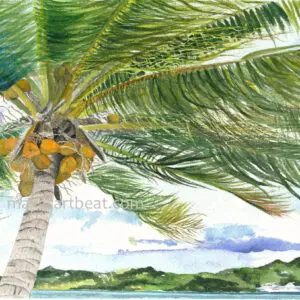 Beachside palm tree swaying gently