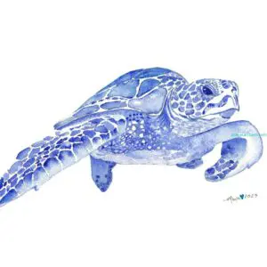 Artistic turtle painted in blue