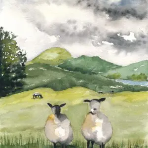 Sheep in a lush green field