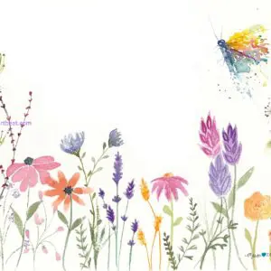 Watercolor wildflowers and butterfly illustration