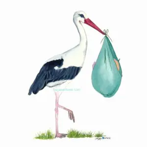 Watercolor stork with a bundle