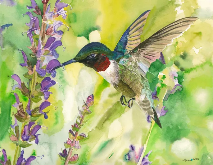 Watercolor hummingbird hovering by purple flowers