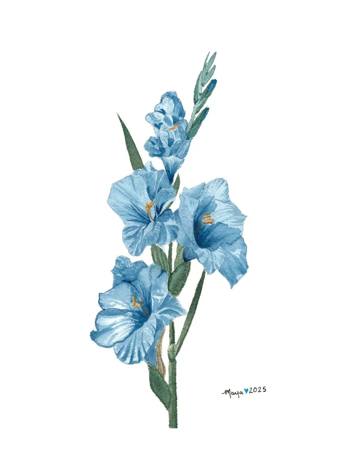 Blue gladiolus watercolor botanical illustration