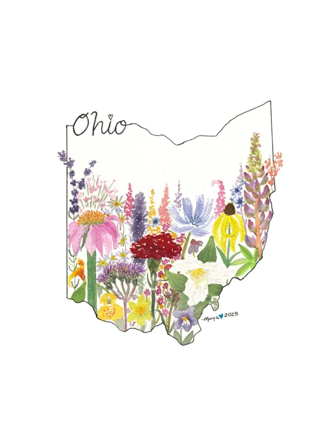 Wildflowers of Ohio