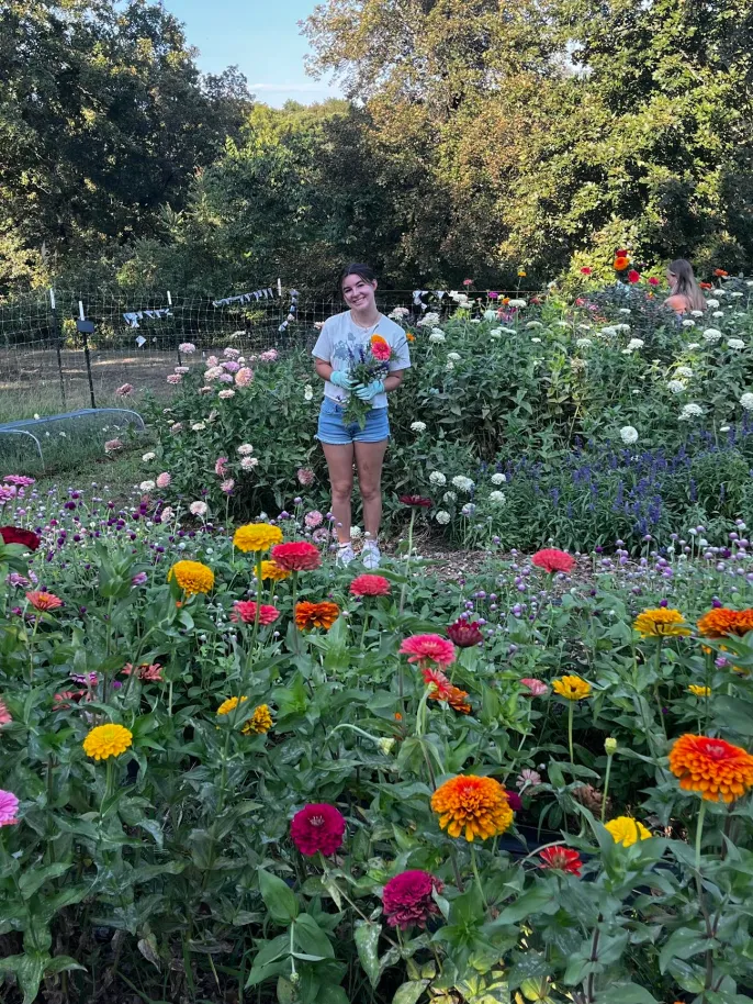 Person holding bouquet in colorful flower garden
