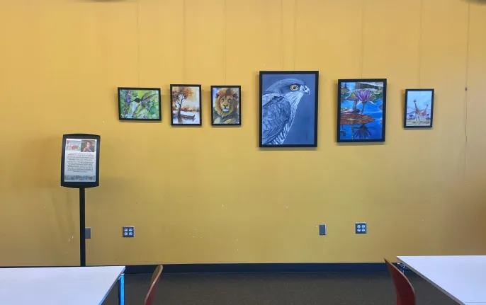 Yellow wall displaying framed wildlife paintings