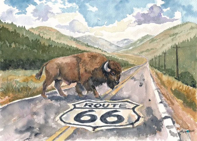 Bison crossing Route 66 road through mountains