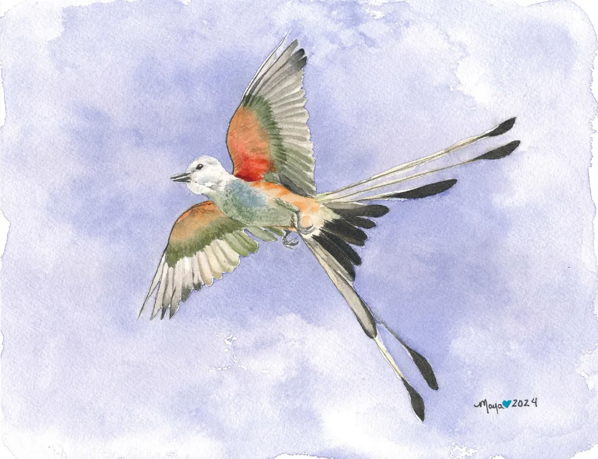 Colorful bird soaring in blue sky