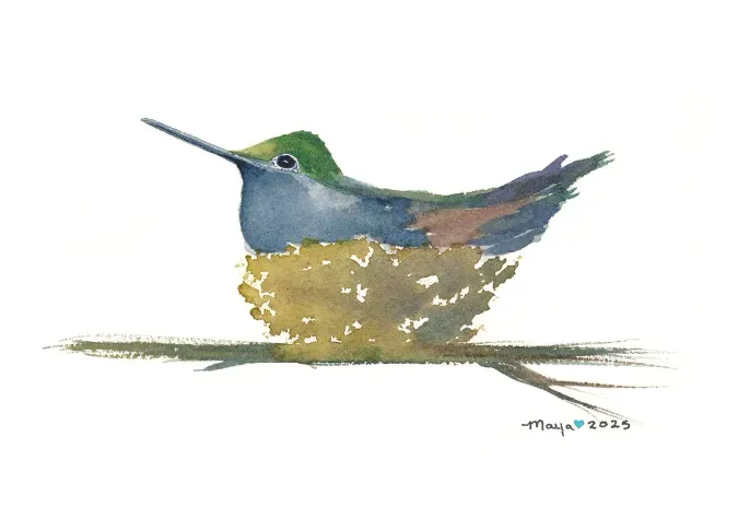 Watercolor hummingbird resting in nest on branch