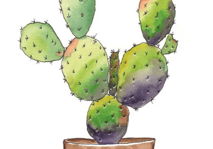 Watercolor prickly pear cactus in patterned pot