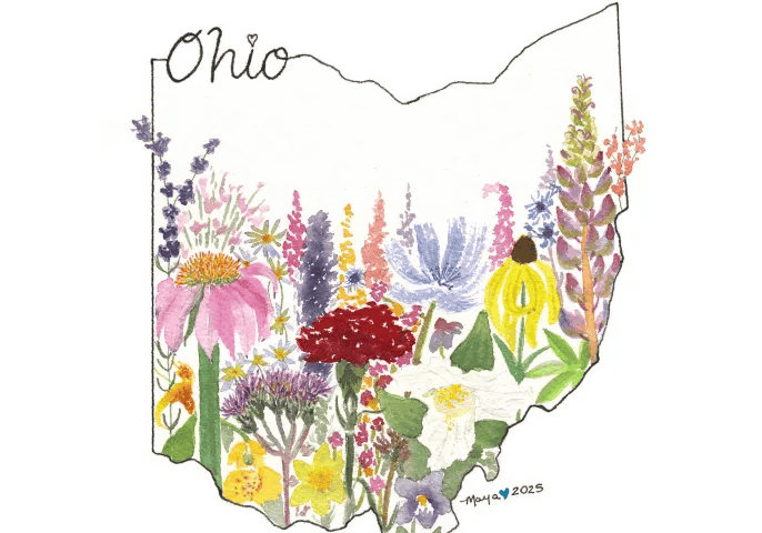 Wildflowers of Ohio