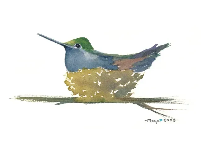 Watercolor hummingbird resting in nest on branch