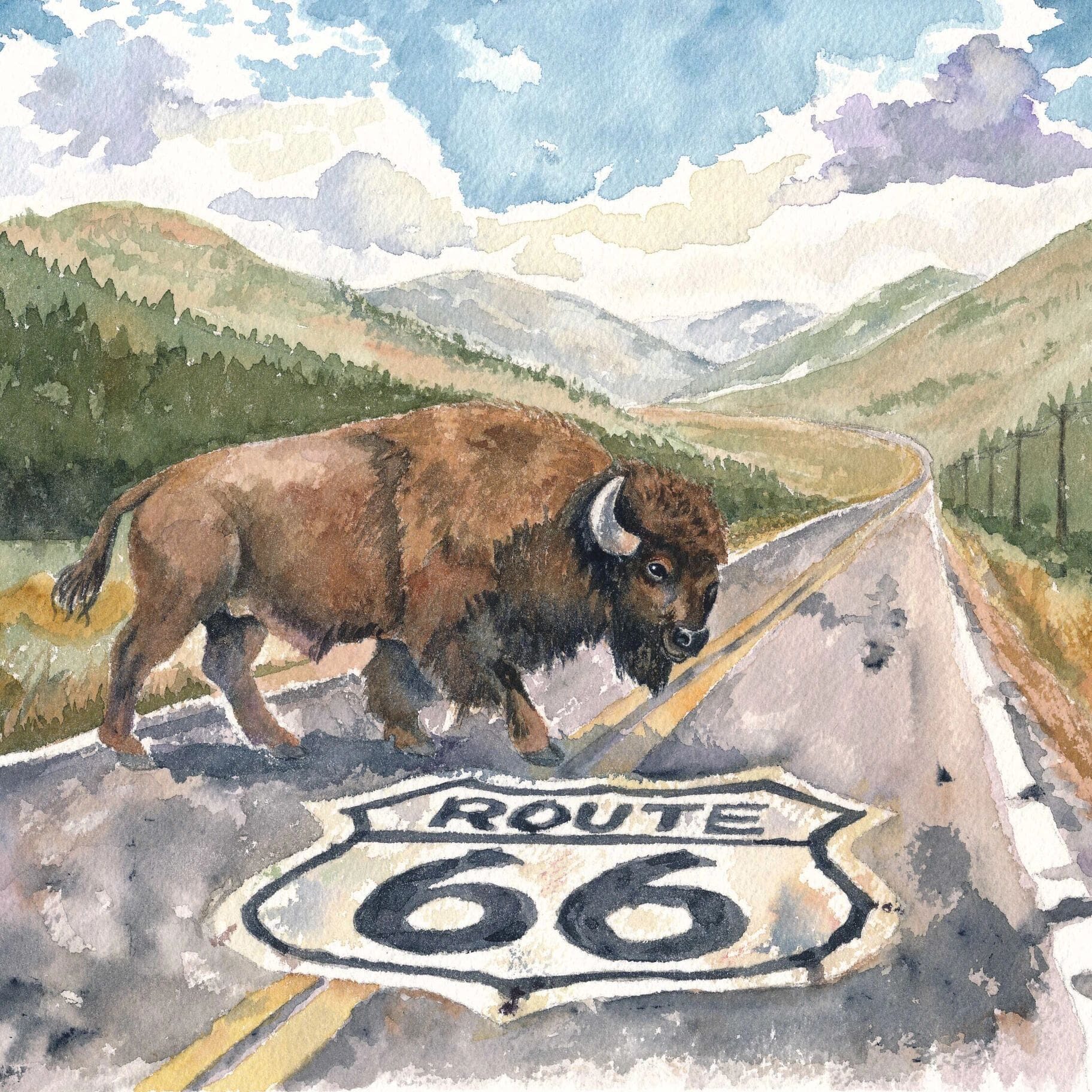 Bison crossing Route 66 road
