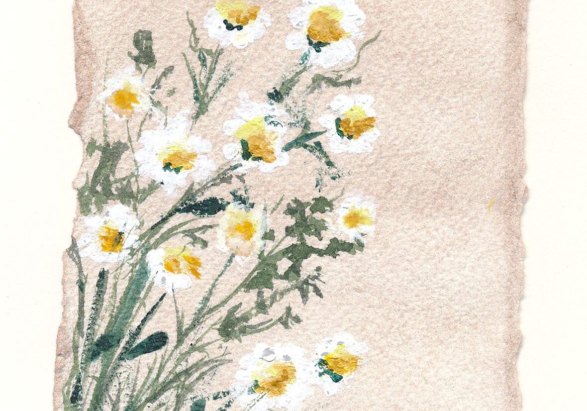 Watercolor daisies on textured beige paper