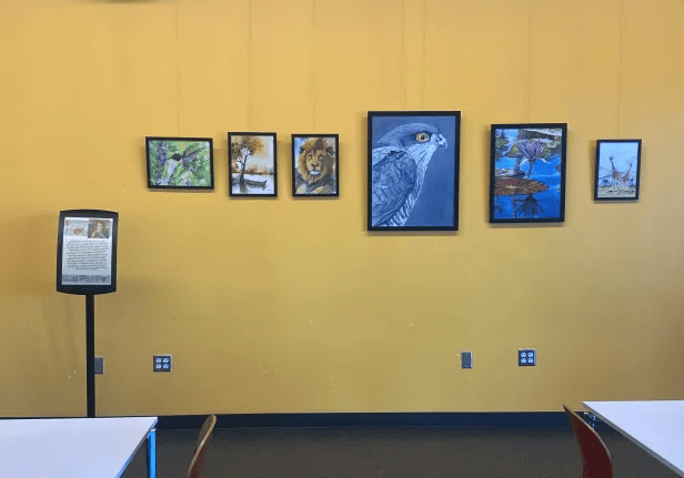 Yellow wall displaying framed wildlife paintings