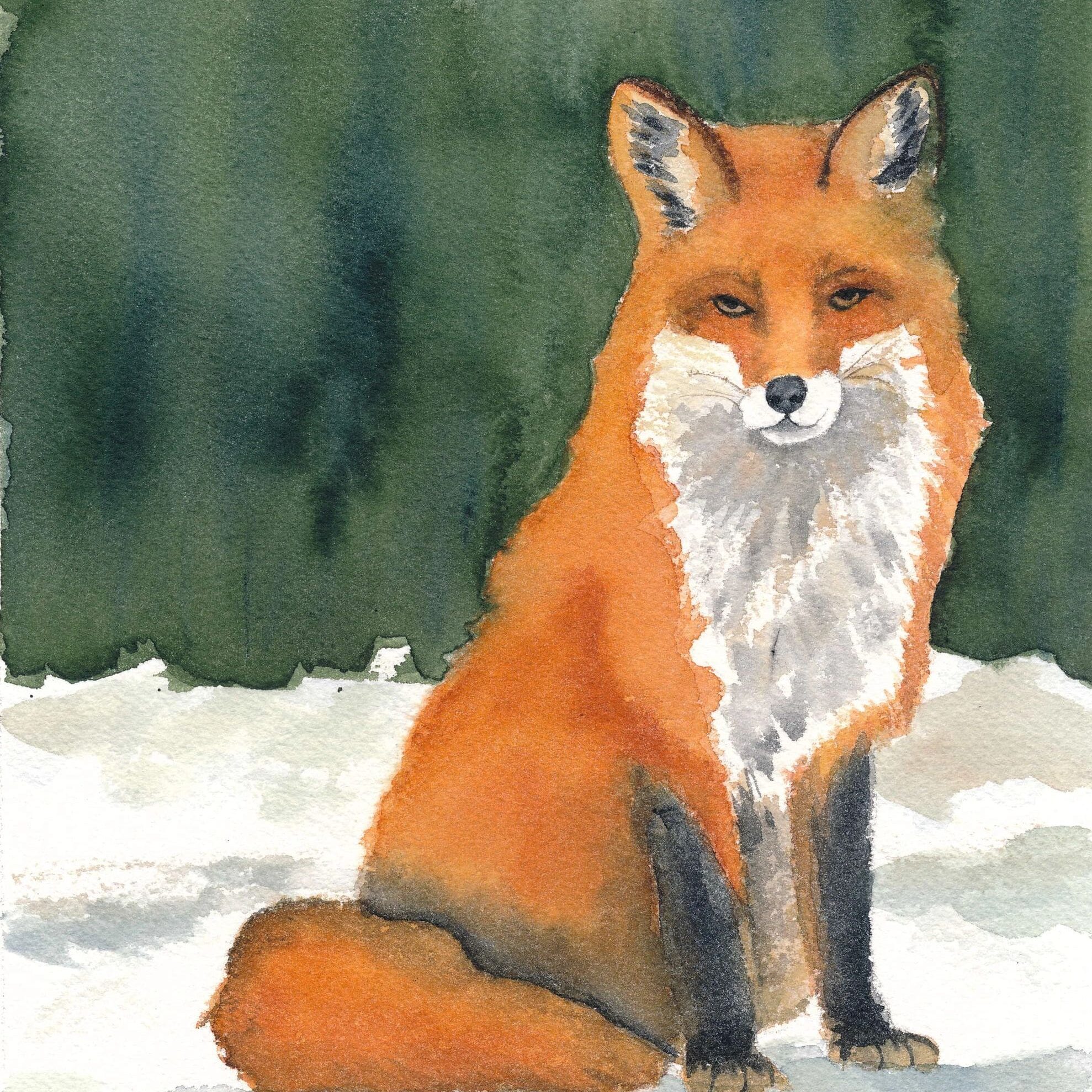 Red fox with snowy background