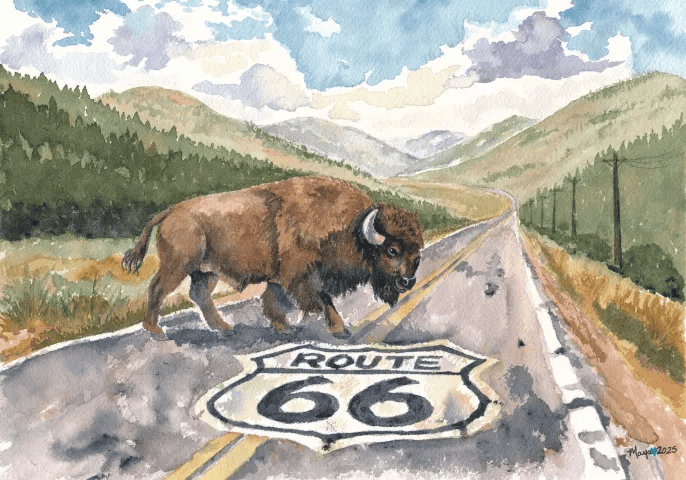 Bison crossing Route 66 road through mountains